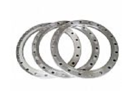 鍛制高壓法蘭 鍛制高壓法蘭